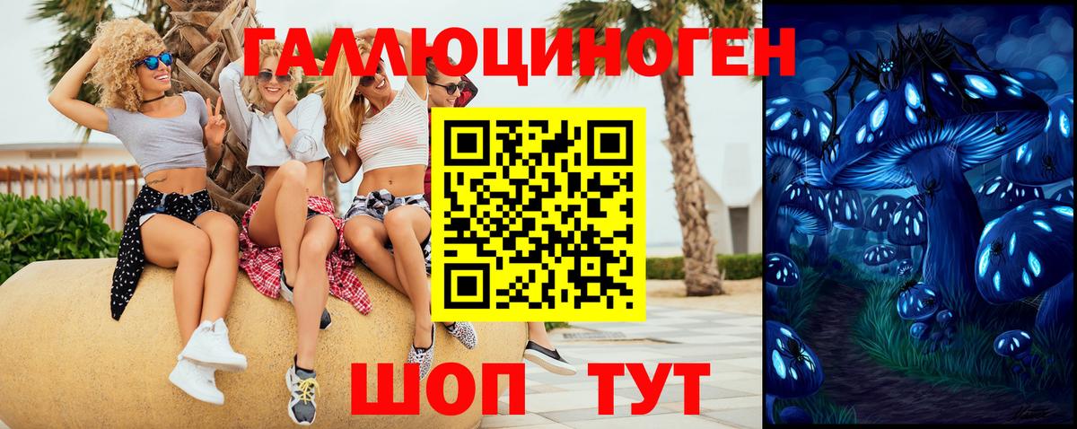 Галлюциногенные грибы Psilocybe  Вход с VPN  Галлюциногенные грибы MAGIC MUSHROOMS  где найти   Унеча 